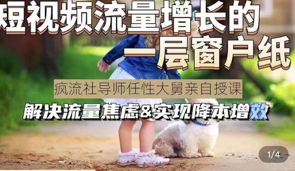 任性大舅·宠物行业短视频运营课(不讲废话)，短视频流量增长的一层窗户纸，解决流量焦虑&实现降本增效(深度解析宠物行业短视频运营掌握流量增长逻辑与降本增效策略)