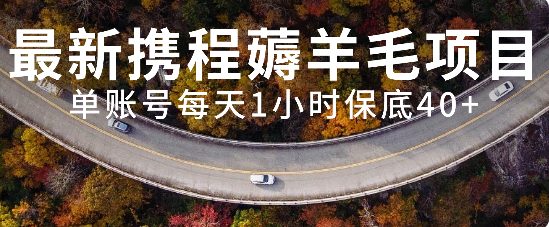 最新携程薅羊毛项目，单账号每天1小时保底收益40+，可矩阵操作(“最新携程薅羊毛项目详解轻松赚取额外收益”)