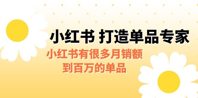 [小红书]某公众号付费文章《小红书 打造单品专家》小红书有很多月销额到百万的单品(小红书的百万单品策略如何快速切入并保持高利润)