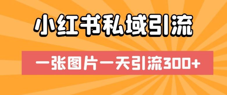 小红书私域引流,一张图片一天引流300+【揭秘】(揭秘小红书私域引流一张图片一天引流300+)