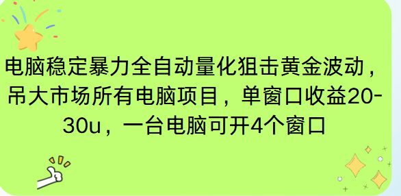 电脑EA策略挂机项目单窗口收益20-30u，单电脑可挂5-10个窗口收益稳健4位数