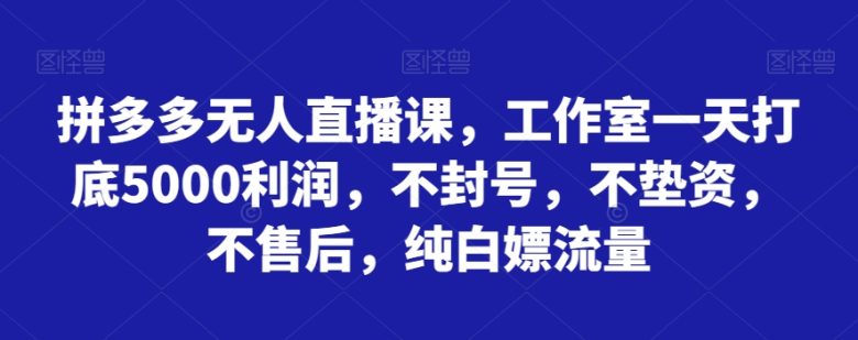 拼多多无人直播课，工作室一天打底5000利润，不封号，不垫资，不售后，纯白嫖流量(探索拼多多无人直播课实现高效盈利与流量获取)