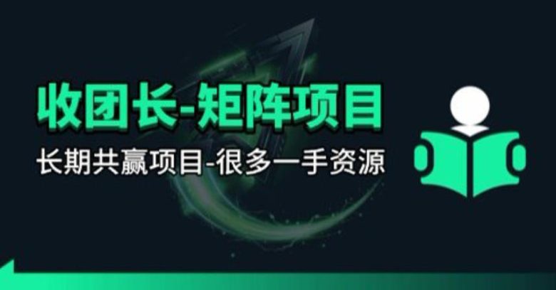 【团长合作】视频矩阵项目_招发手矩阵+剪辑师,共赢项目