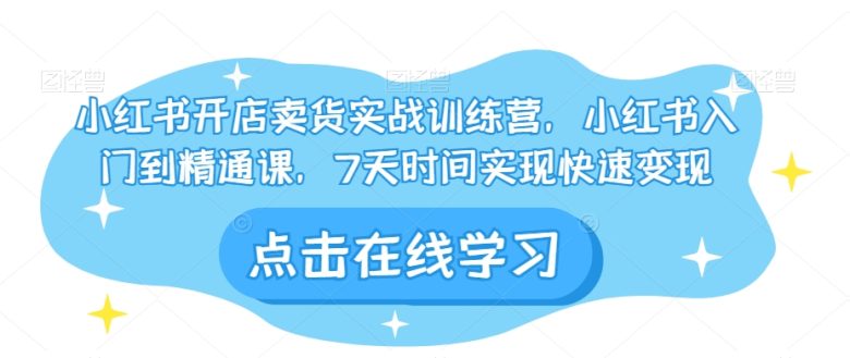 小红书开店卖货实战训练营,小红书入门到精通课,7天时间实现快速变现(小红书开店卖货实战训练营7天快速变现指南)