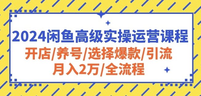 2024闲鱼高级实操运营课程:开店/养号/选择爆款/引流/月入2万/全流程 2024闲鱼高级实操运营课程:开店/养号/选择爆款/引流/月入2万/全流程