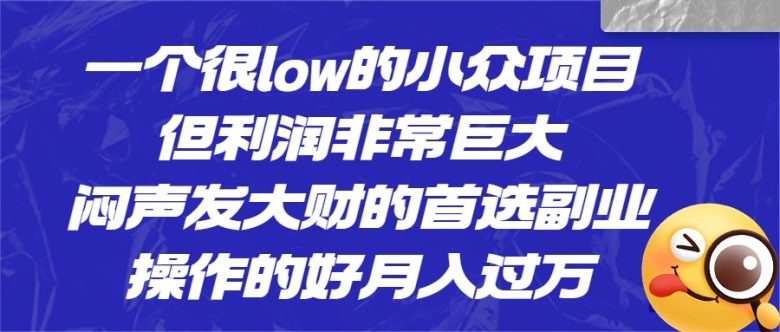 [抖音快手]一个很low的小众项目，但利润非常巨大，闷声发大财的首选副业，操作的好月入过万(“抖音快手上的低门槛高收益项目月入过万不是梦”)