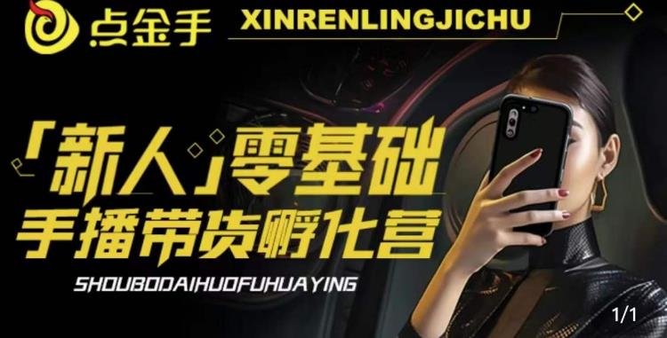 2023点金手·新人零基础手播带货孵化营:账号运营篇+主播话术篇+数据流量篇等(全面解析直播带货技巧,助您轻松开启直播电商之路) 2023点金手·新人零基础手播带货孵化营:账号运营篇+主播话术篇+数据流量篇等(全面解析直播带货技巧,助您轻松开启直播电商之路)