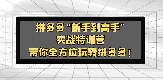 拼多多“新手到高手”实战特训营：带你全方位玩转拼多多！(拼多多实战特训营助你从新手到高手！)