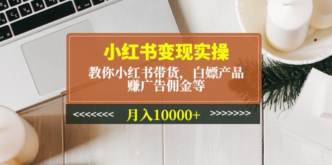 小红书变现实操：教你小红书带货，白嫖产品，赚广告佣金等，月入10000+(小红书变现实操指南掌握带货、白嫖与广告佣金技巧，实现月入过万)