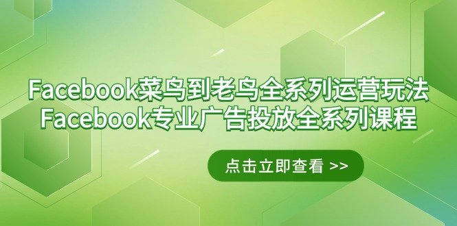 Facebook-菜鸟到老鸟全系列运营玩法+Facebook-专业广告投放全系列课程 Facebook-菜鸟到老鸟全系列运营玩法+Facebook-专业广告投放全系列课程