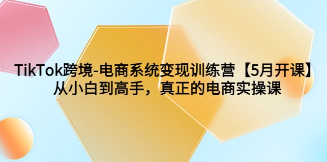 TikTok跨境-电商系统变现训练营【5月新课】从小白到高手,真正的电商实操课(全面掌握TikTok跨境电商运营技巧,助您成为电商高手) TikTok跨境-电商系统变现训练营【5月新课】从小白到高手,真正的电商实操课(全面掌握TikTok跨境电商运营技巧,助您成为电商高手)