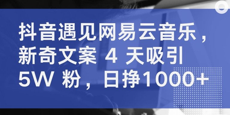 抖音遇见网易云音乐,新奇文案 4 天吸引 5W 粉,日挣1000+ 抖音遇见网易云音乐,新奇文案 4 天吸引 5W 粉,日挣1000+
