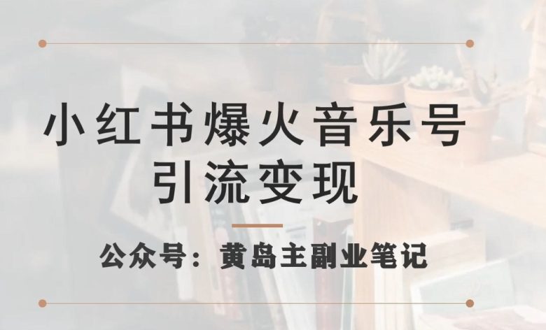 小红书爆火音乐号引流变现项目，视频版一条龙实操玩法分享给你(“小红书音乐号引流变现项目详解一条龙实操教程分享”)