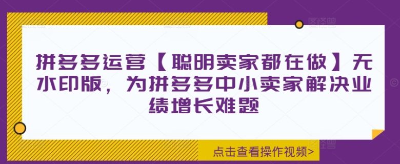 拼多多运营【聪明卖家都在做】无水印版,为拼多多中小卖家解决业绩增长难题 拼多多运营【聪明卖家都在做】无水印版,为拼多多中小卖家解决业绩增长难题
