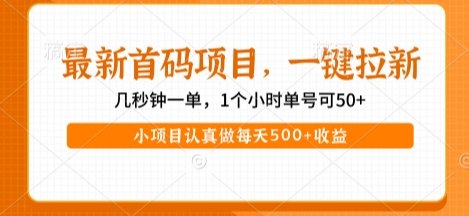 最新首码项目,操作最简单,收益高,一键拉新,1个小时单号可50+,小项目认真做每天5张+收益
