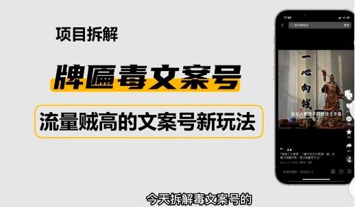 2023抖音快手毒文案新玩法，牌匾文案号，起号快易变现(探索2023抖音快手毒文案新玩法牌匾文案号的快速起号与变现策略)