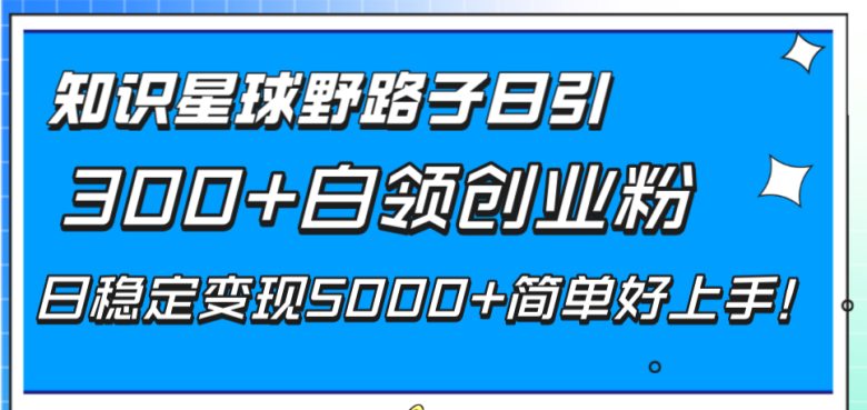 知识星球野路子日引300+白领创业粉，日稳定变现5000+简单好上手！(”知识星球引流与变现实现日稳定收入5000+的实战策略”)