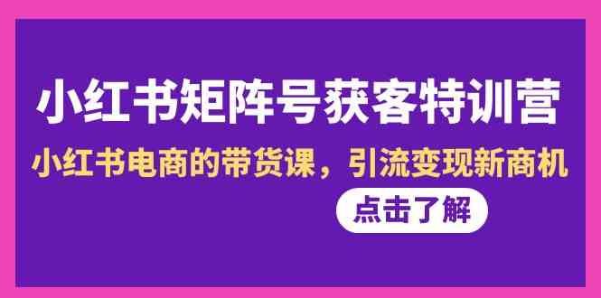 小红书矩阵号获客特训营-第10期,小红书电商的带货课,引流变现新商机