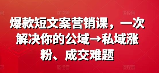 爆款短文案营销课,一次解决你的公域→私域涨粉、成交难题 爆款短文案营销课,一次解决你的公域→私域涨粉、成交难题