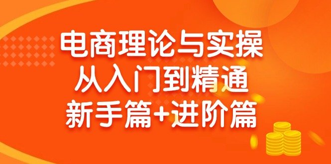 电商理论与实操从入门到精通 新手篇+进阶篇 电商理论与实操从入门到精通 新手篇+进阶篇