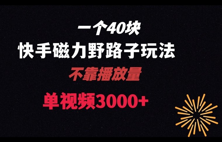 一个40块,快手联合美团磁力新玩法,无视机制野路子玩法,单视频收益4位数【揭秘】 一个40块,快手联合美团磁力新玩法,无视机制野路子玩法,单视频收益4位数【揭秘】