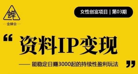 资料IP变现，能稳定日赚3000起的持续性盈利玩法(深度解析资料IP变现项目三大盈利模式与核心营销运营策略)