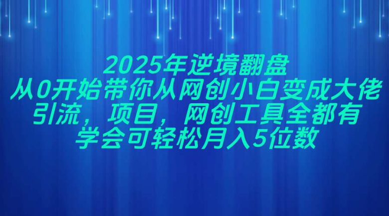 2025年逆境翻盘,从0开始带你从网创小白变成大佬,引流,项目,网创工…