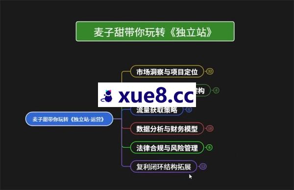 麦子甜《带你玩转独立站运营》