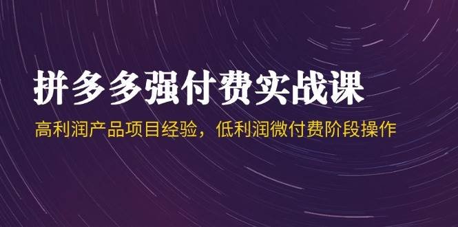 拼多多强付费实战课-44期,高利润产品项目经验,低利润微付费阶段操作