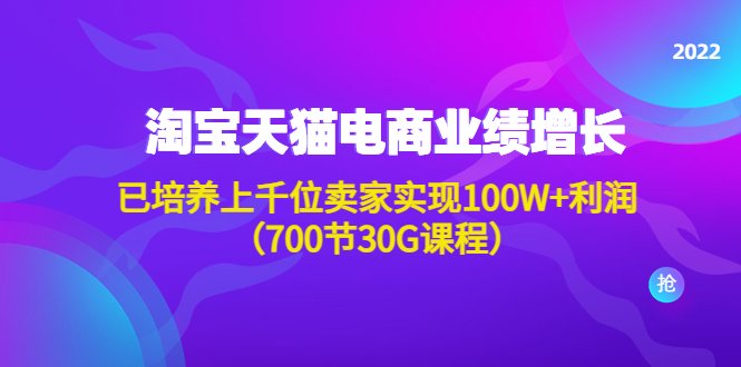 淘系天猫电商业绩增长：已培养上千位卖家实现100W+利润（700节30G课程）(淘系天猫电商业绩增长课程700节30G课程助力卖家实现100W+利润)