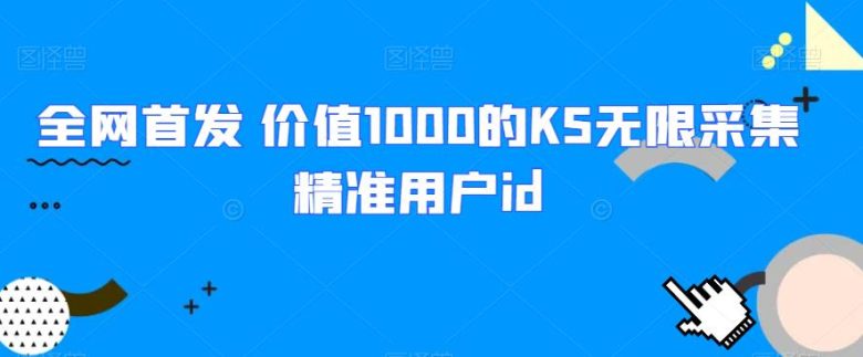 全网首发 价值1000的KS无限采集精准用户id(利用KS无限采集精准用户id，提升工作效率)