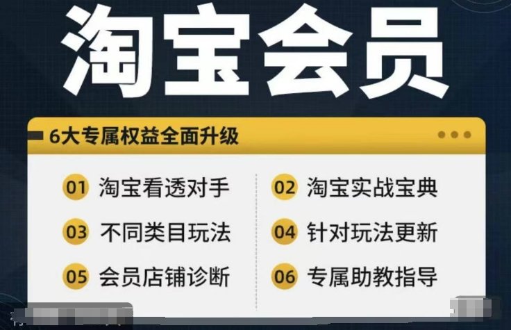 淘宝会员【淘宝所有课程,全面分析对手】,初级到高手全系实战宝典 淘宝会员【淘宝所有课程,全面分析对手】,初级到高手全系实战宝典