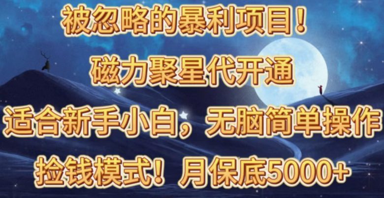 磁力聚星代开通捡钱模式,轻松月入五六千 磁力聚星代开通捡钱模式,轻松月入五六千