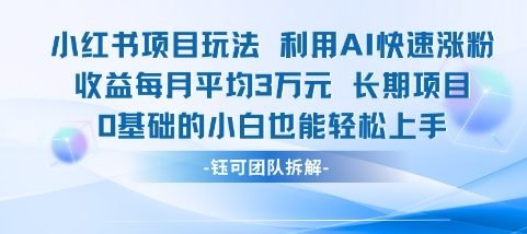 适合小白操作的小红书新项目，利用AI快速涨粉，收益每月平均1W+