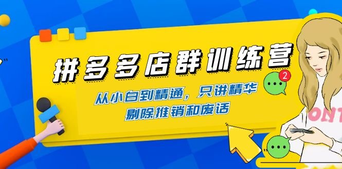 拼多多店群训练营：从小白到精通，只讲精华，剔除推销和废话(拼多多店群训练营全面掌握店铺运营技巧)