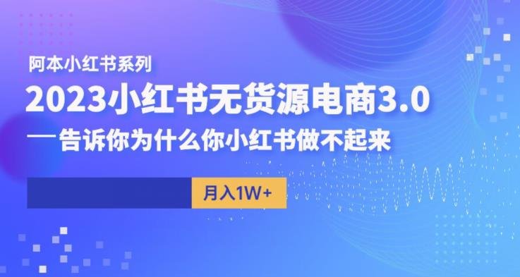 阿本小红书无货源电商3.0,告诉你为什么你小红书做不起来(“阿本小红书无货源电商3.0教程深度解析小红书运营策略与实用技巧”)