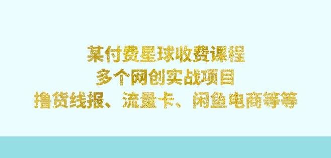某付费星球课程:多个网创实战项目,撸货线报、流量卡、闲鱼电商等(文档非视频)(某付费星球课程网创实战项目升级与优化) 某付费星球课程:多个网创实战项目,撸货线报、流量卡、闲鱼电商等(文档非视频)(某付费星球课程网创实战项目升级与优化)