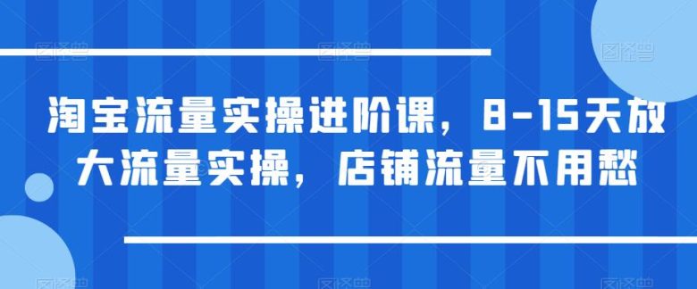 淘宝流量实操进阶课,8-15天放大流量实操,店铺流量不用愁(淘宝流量实操进阶课8-15天实现店铺流量翻倍增长) 淘宝流量实操进阶课,8-15天放大流量实操,店铺流量不用愁(淘宝流量实操进阶课8-15天实现店铺流量翻倍增长)