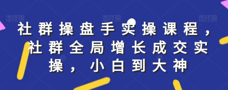 社群实操课程,社群全局增长成交实操,小白到大神 社群实操课程,社群全局增长成交实操,小白到大神