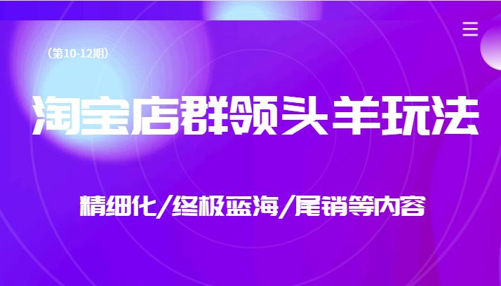 (淘宝店群运营全攻略精细化/终极蓝海/尾销玩法详解)