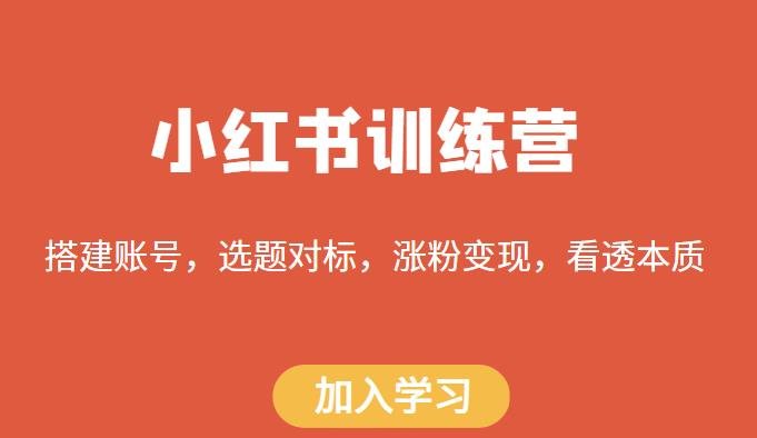 小红书训练营，搭建账号，选题对标，涨粉变现，看透本质(小红书训练营掌握涨粉变现的关键技巧)