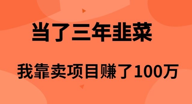当了3年韭菜,我靠卖项目赚了100万 当了3年韭菜,我靠卖项目赚了100万