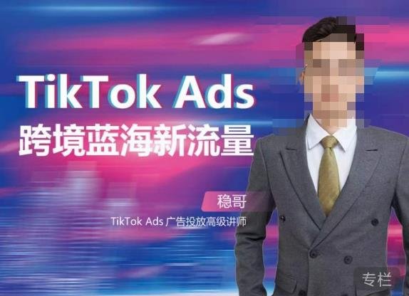 稳哥·如何投出高ROI的TikTok广告,开拓独立站卖家流量新蓝海(稳哥教你如何用好TikTok广告,开拓独立站卖家流量新蓝海) 稳哥·如何投出高ROI的TikTok广告,开拓独立站卖家流量新蓝海(稳哥教你如何用好TikTok广告,开拓独立站卖家流量新蓝海)