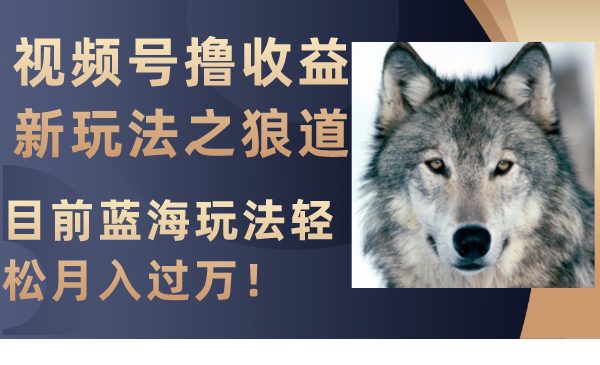 视频号撸收益新玩法之狼道，目前蓝海玩法轻松月入过万！(探索视频号撸收益新玩法——狼道，轻松实现月入过万)