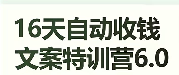16天自动收钱文案特训营6.0,学会儿每天自动咔咔收钱(掌握文案技巧,实现自动收钱) 16天自动收钱文案特训营6.0,学会儿每天自动咔咔收钱(掌握文案技巧,实现自动收钱)