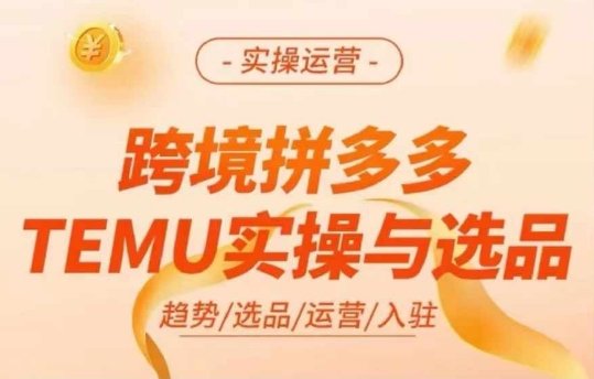 跨境拼多多TEMU实操与选品,多多temu跨境选品运营实操 跨境拼多多TEMU实操与选品,多多temu跨境选品运营实操