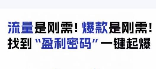 电商盈利精品课：6大盈利密码让产品更好卖，流量是刚需！爆款是刚需！找到”盈利密码”一键起爆(电商盈利精品课掌握6大盈利密码，实现产品销售的一键起爆)