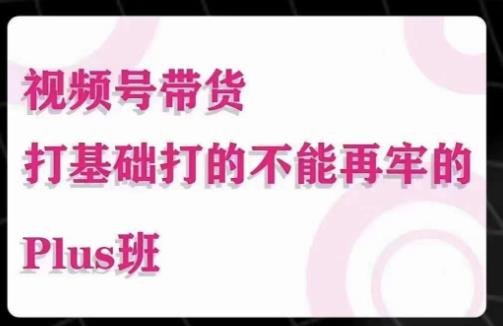 大播汇·视频号带货Puls班,视频号底层逻辑,起号自然流鱼塘等玩法(深度解析视频号带货Puls班底层逻辑与多元起号策略) 大播汇·视频号带货Puls班,视频号底层逻辑,起号自然流鱼塘等玩法(深度解析视频号带货Puls班底层逻辑与多元起号策略)