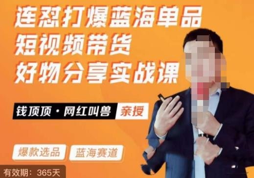 网红叫兽·连怼打爆蓝海单品,短视频带货好物分享实战课(全面解析短视频带货实战技巧与策略) 网红叫兽·连怼打爆蓝海单品,短视频带货好物分享实战课(全面解析短视频带货实战技巧与策略)