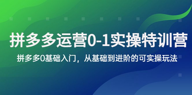 拼多多-运营0-1实操训练营,拼多多0基础入门,从基础到进阶的可实操玩法(拼多多运营0-1实操训练营从基础到进阶的全面解析) 拼多多-运营0-1实操训练营,拼多多0基础入门,从基础到进阶的可实操玩法(拼多多运营0-1实操训练营从基础到进阶的全面解析)